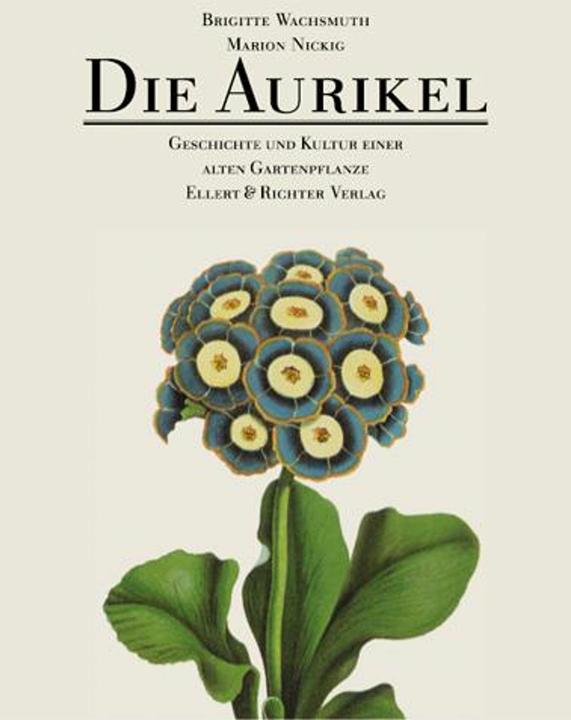 Produktbild Die Aurikel (Deutsch, Brigitte Wachsmuth, 2004)