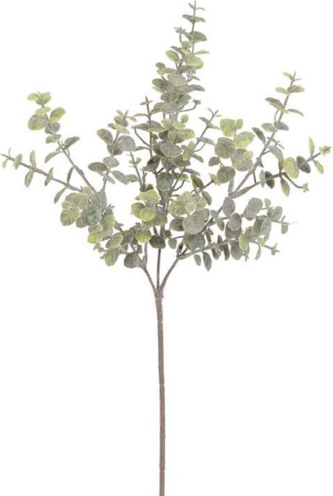 Immagine prodotto Bludeko Eukalyptus Popolus grün washed 45cm (1)