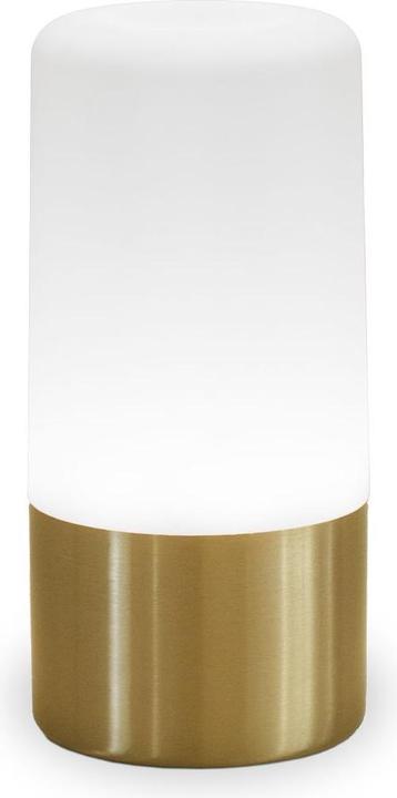 Actual product image Newgarden MAIA LED garden light rechargeable brass IP44 (IP44)