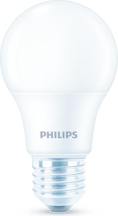 Actual product image Philips LED 60W (E27, 7 W, 806 lm, 6 x, E)