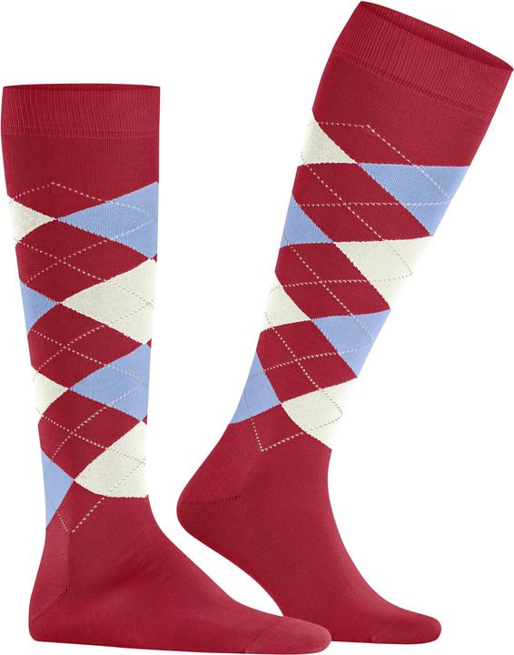 Actual product image Burlington Manchester (Single pack, 40 - 46)