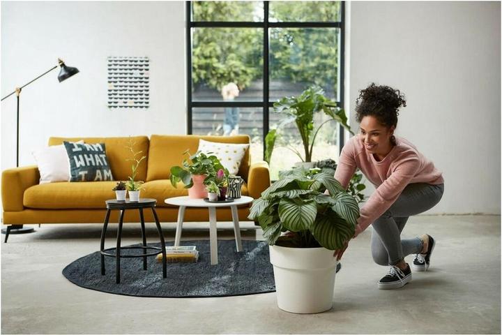 Actual product image Elho B.for Original Round (35 cm)