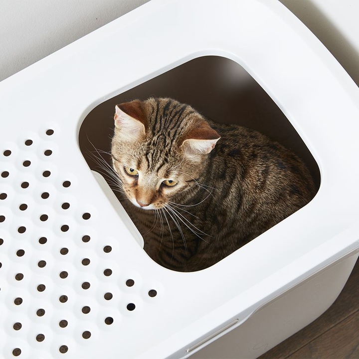 Actual product image Savic Hop In (Cat litter box closed)
