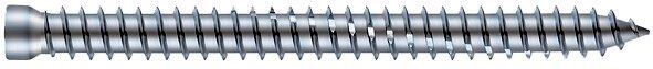 Actual product image OK-Line Frame screws (100 Screws per piece)