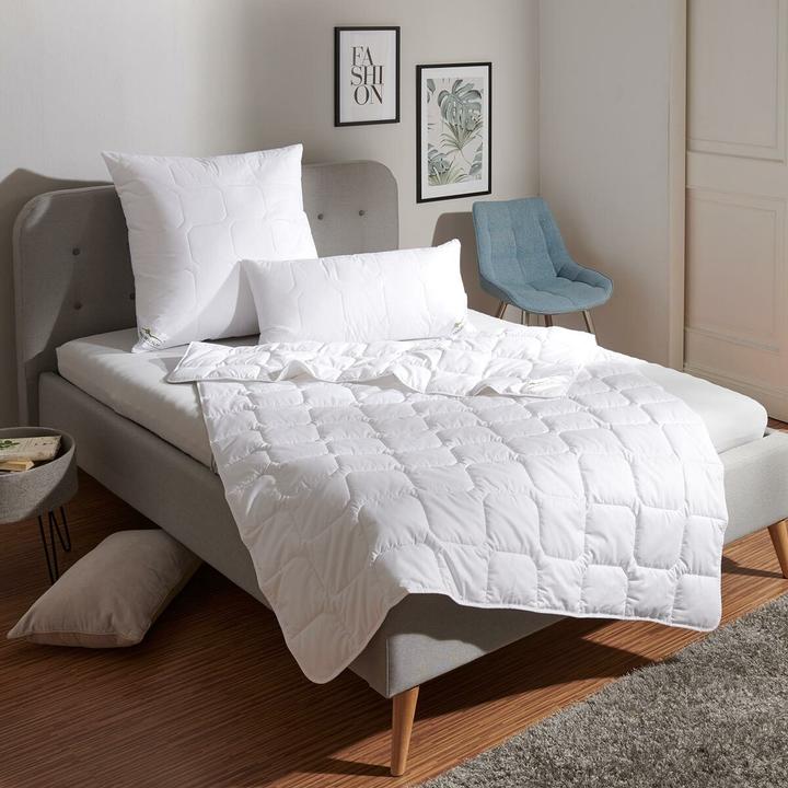 Produktbild Traumschlaf Thinsulate leicht (900 g, 240 x 220 cm, Polyester)