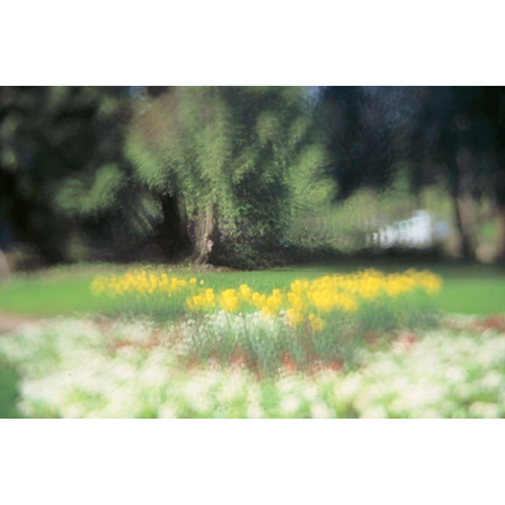Thumbnail - Cokin Filter P093 Traum 3 (84 mm, Effekt Filter, 84 mm), Objektivfilter
