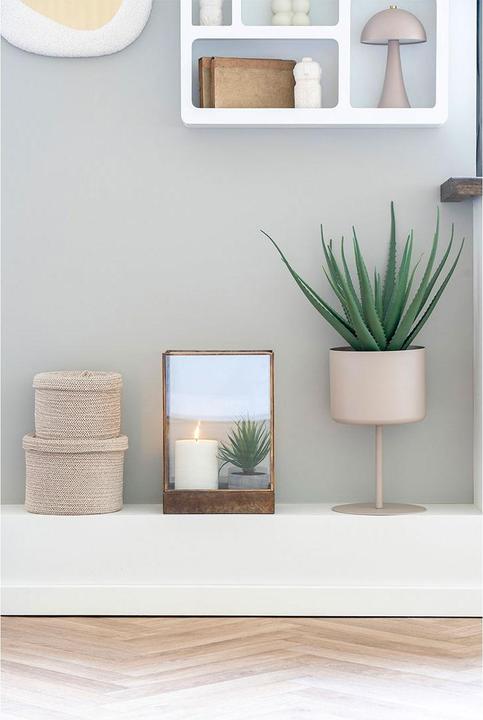 Actual product image House Nordic Aloe (51 cm)