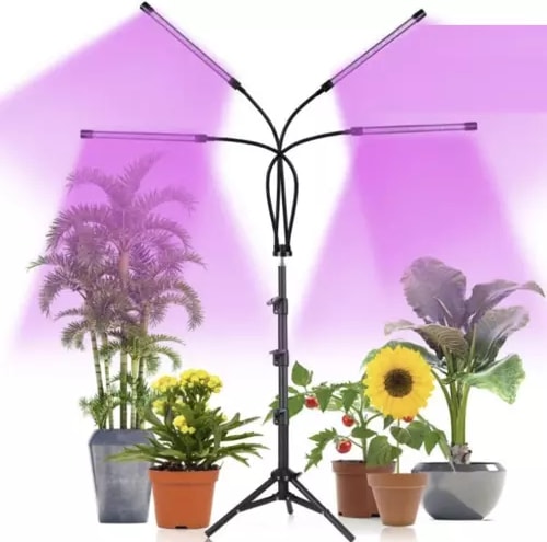 Image du produit Gardlov 20 LED (LED)