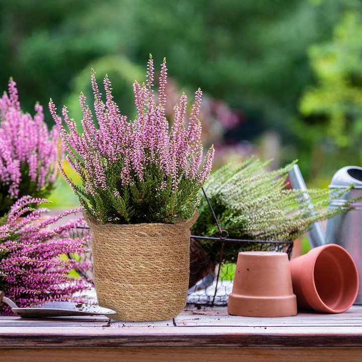 Produktbild Relaxdays 3x Seegras Blumentopf (25.50 cm)