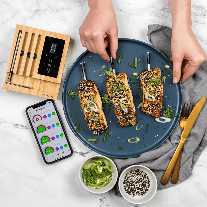 Actual product image Meater Block Smart Meat