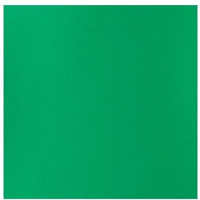 Winsor & Newton Verde Colore + Vernice Per Fai Da Te, Designers Gouache 14Ml Brilliant Green 046 (14 Ml)