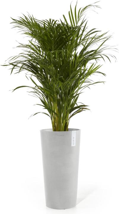 Actual product image Ecopots Amsterdam hoch (76 cm)