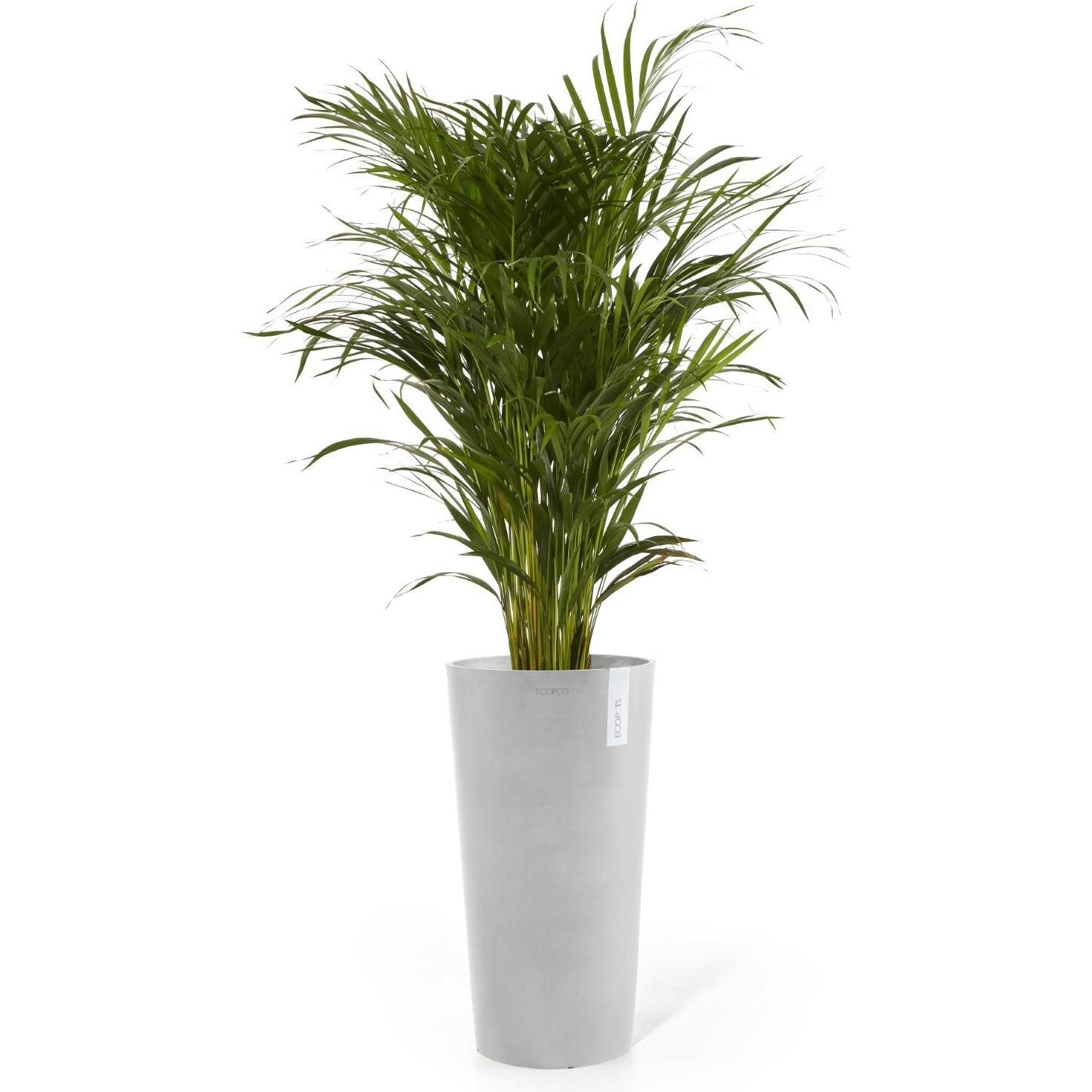 Thumbnail - Ecopots, Blumentopf, Amsterdam hoch (76 cm)