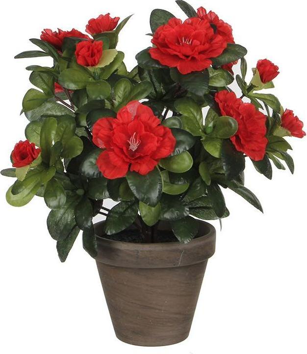 Mica Decorations Azalea (10.50 cm)