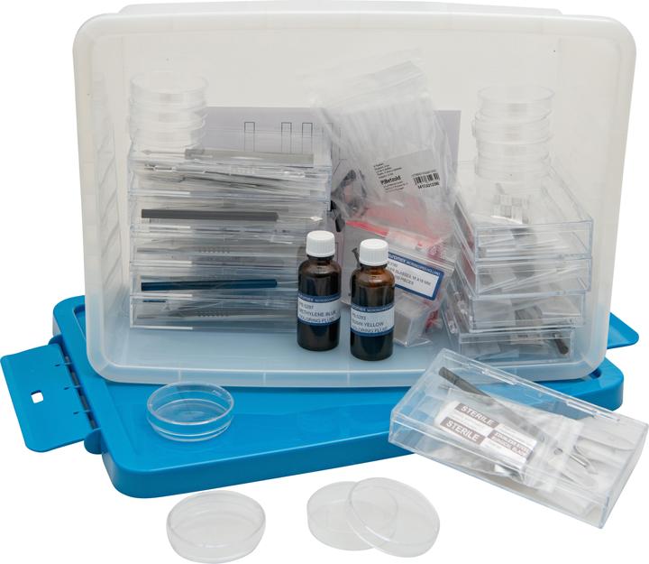 Image du produit Betzold Caisse de microscopie