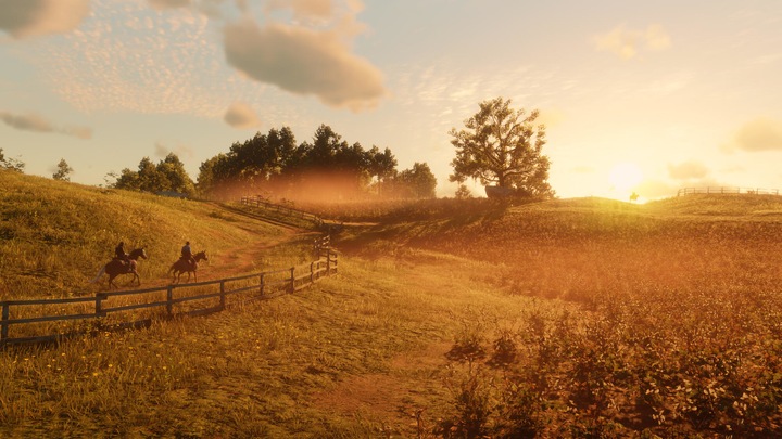 Produktbild Rockstar Red Dead Redemption 2 PC CIAB (PC)