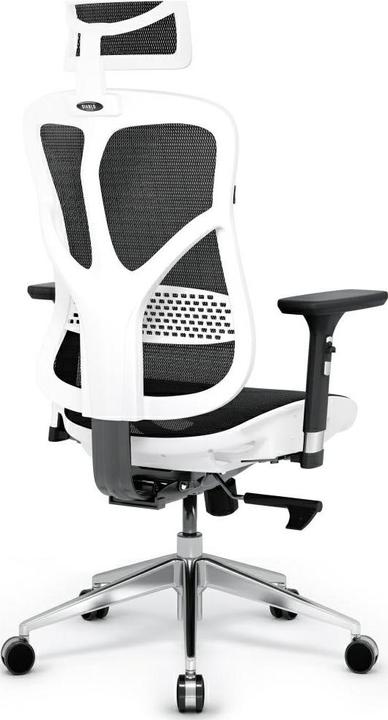 Immagine prodotto Diablo V-Basic