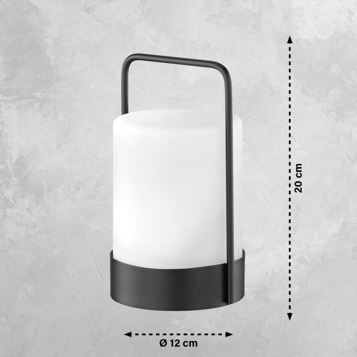 Actual product image FHL easy FHL Casoli LED rechargeable solar outdoor light USB 0.1W RGB colour control dimmable + remote (IP44)