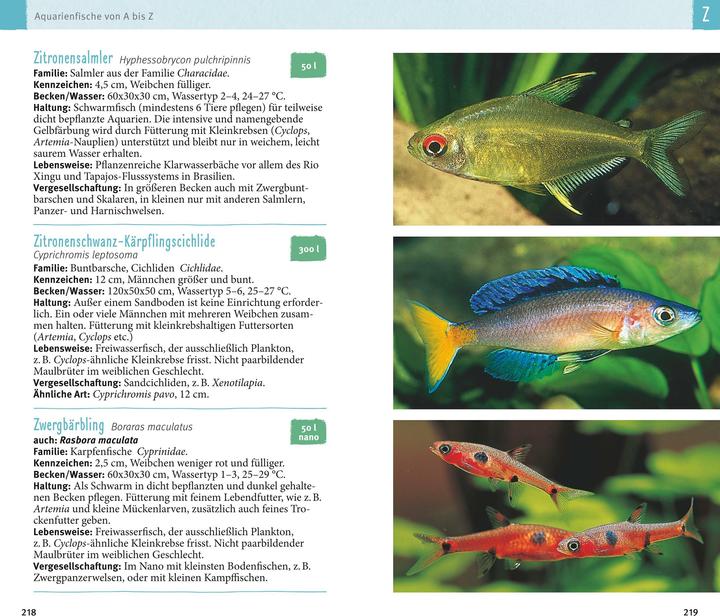 Actual product image Aquarienfische von A bis Z (German, Ulrich Schliewen, 2017)