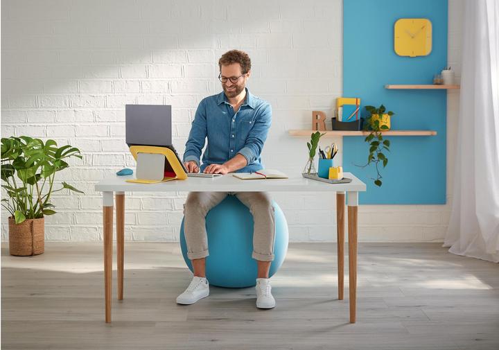 Actual product image Leitz Ergo Cosy Active sitting ball (65 cm)