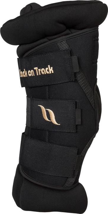 Back on Track Royal Deluxe