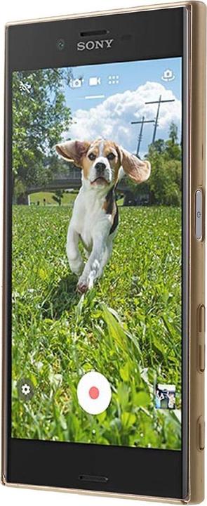 Produktbild König Design Sony Xperia XZ Hülle Case Handy Cover Schutz Tasche Schutzhülle Bumper Etui Gold (Sony Xperia XZ)