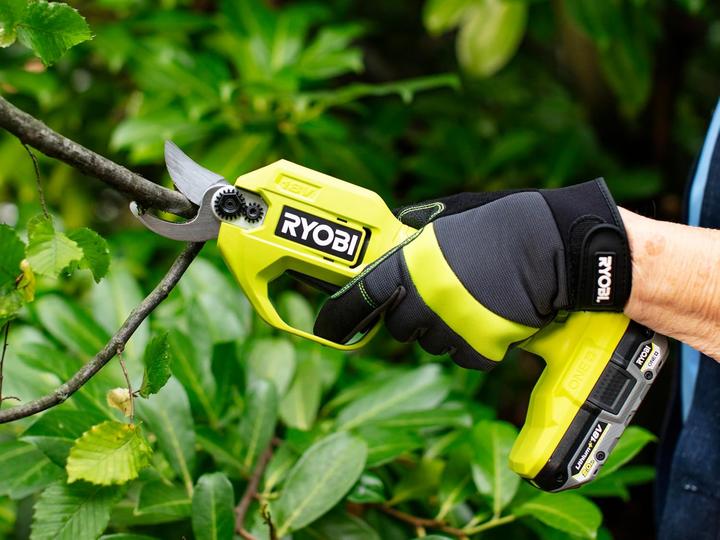 Image du produit Ryobi Secateurs