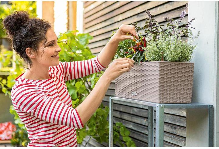 Actual product image Lechuza Flowerpot Balconera Cottage 50 (50 x 19 x 19 cm)