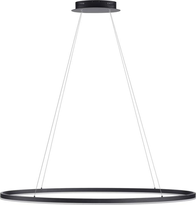 Produktbild Paul Neuhaus Titus (7760 lm)