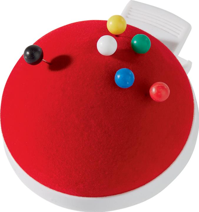 Actual product image Franken Pin Cushion for Training Case
