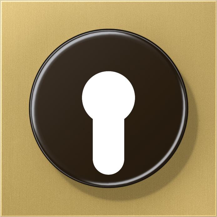 Actual product image JUNG Key/Abd Switch LS ms mt ME2928C