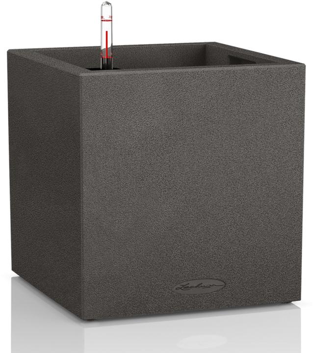 Actual product image Lechuza Canto (40 cm)
