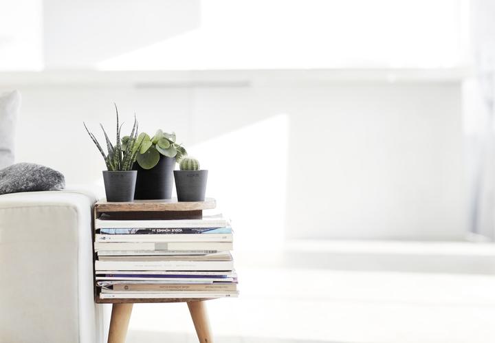 Actual product image Ecopots Amsterdam Mini (13 cm)