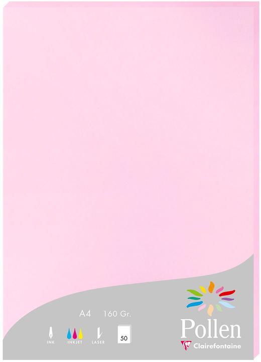 Produktbild Pollen Papier (160 g/m², 50 x, AAA392)