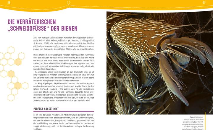 Image du produit Auch Bienen haben Schweissfüsse (Allemand, Jürgen Tautz, 2024)