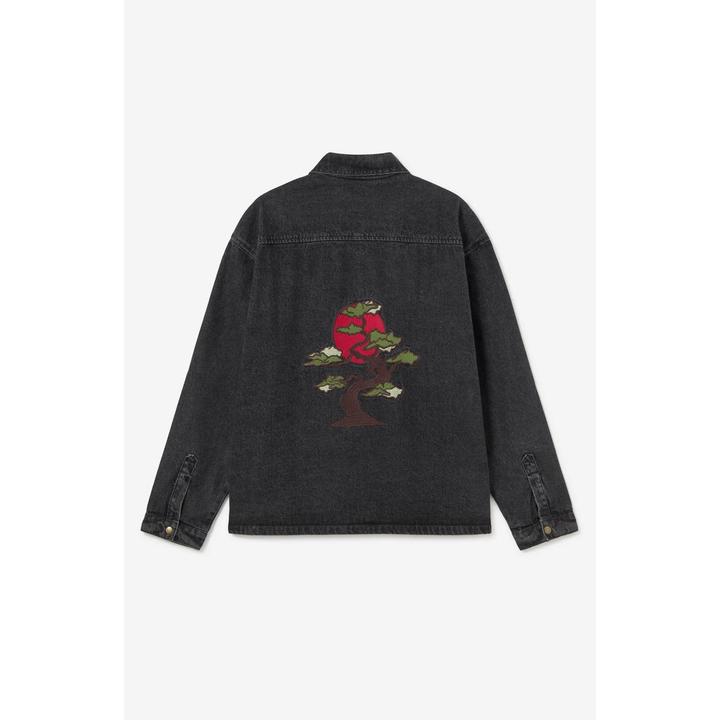 Actual product image Kaotiko Bonsai (M)