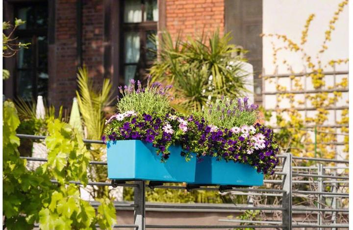 Productafbeelding Lechuza Balconera Kleur (50 x 19 x 19 cm)