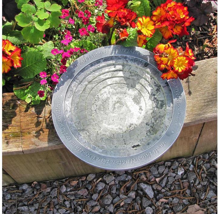 Produktbild Wildlife World Oasis