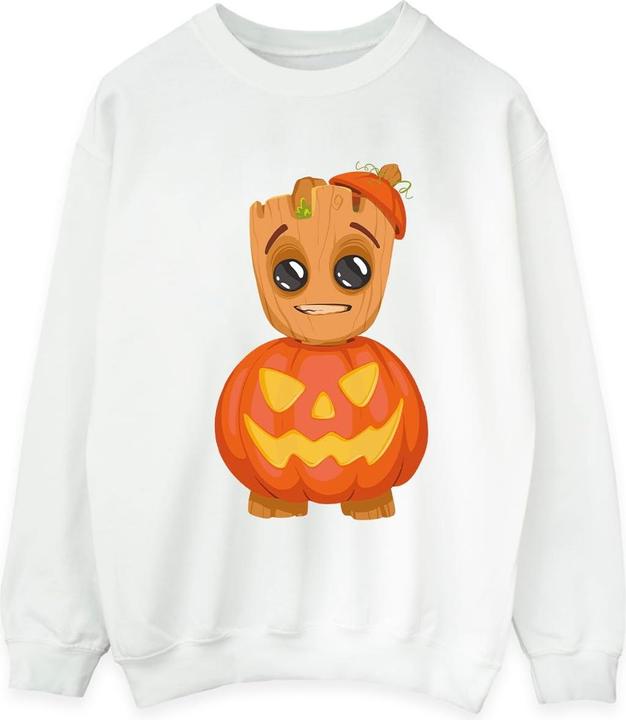 Produktbild Sweatshirt (S)