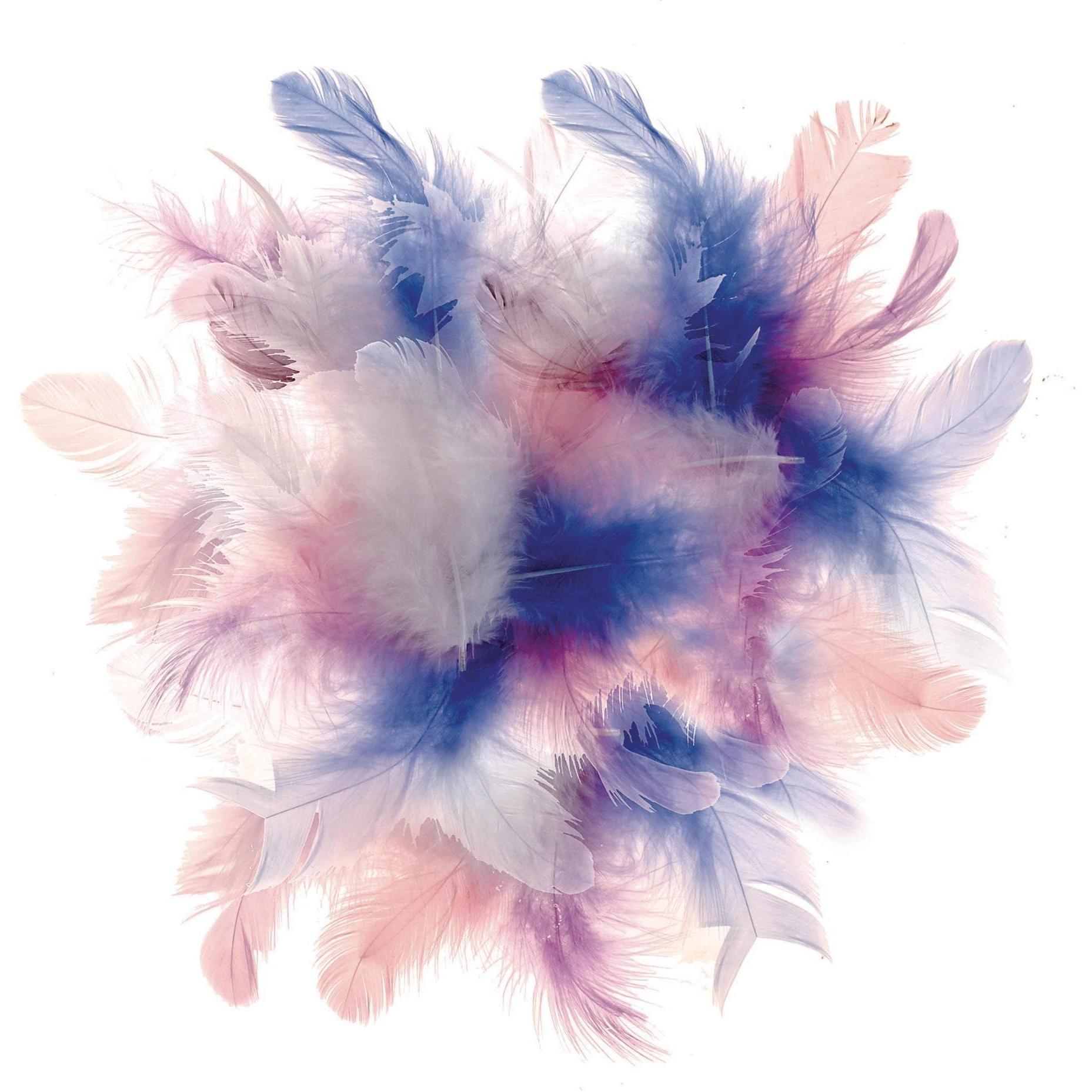 Glorex Deco-Federn 10g