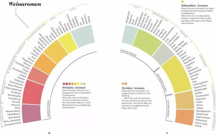 Productafbeelding Der Master Wein-Guide (Duits, Madeline Puckette, 2019)