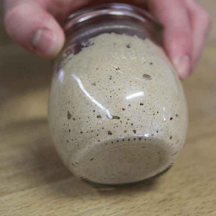 Produktbild Häussler Sauerteigstarter (160 g)