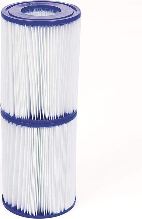 Actual product image Bestway filter cartridge