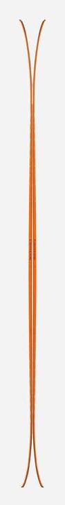 Actual product image Black Crows Mirus Cor 2025 (173 cm, Without binding)
