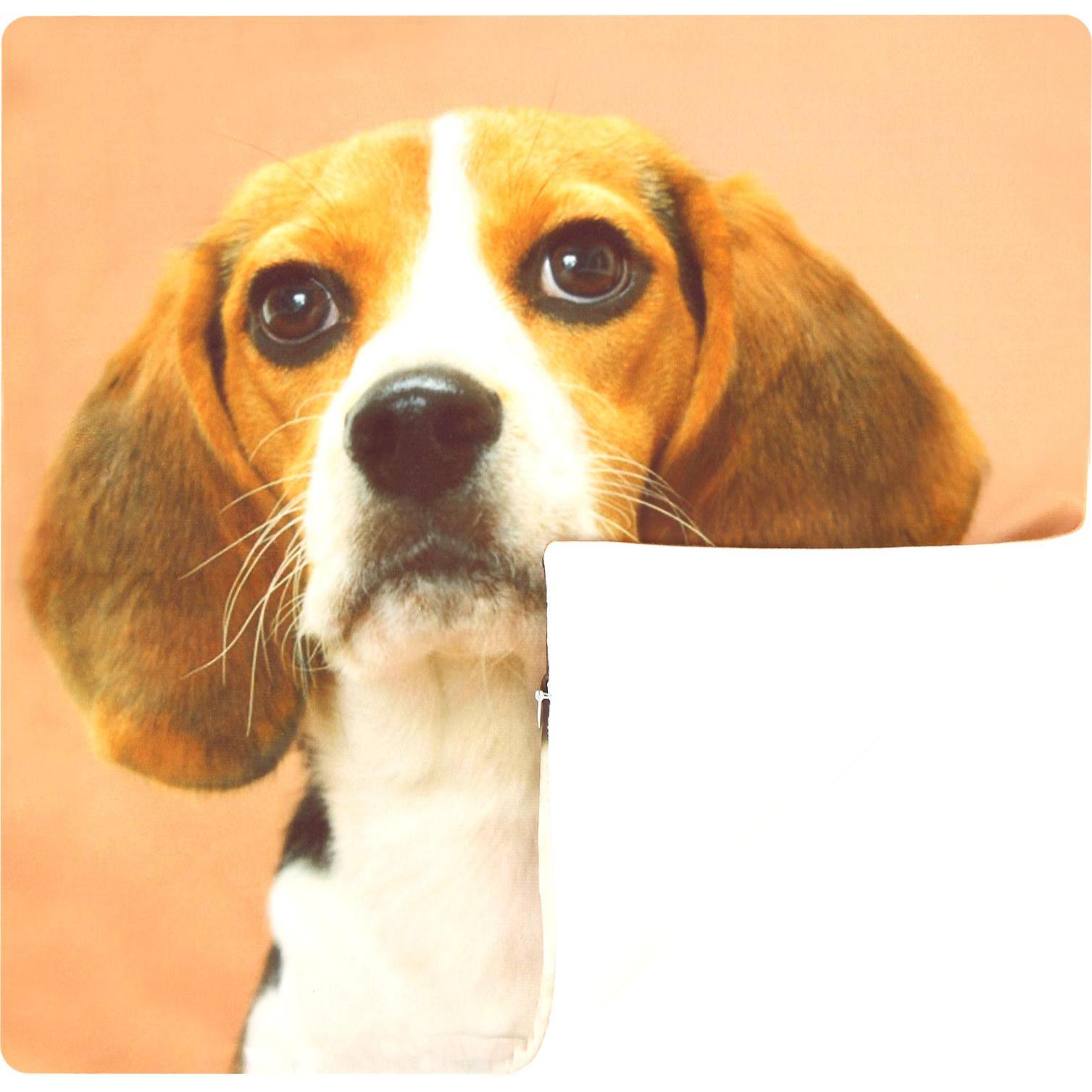 Thumbnail - Avizar, Dekokissen, 2 Stk. Kissenbezüge Beagle Hund (40 x 40 cm)