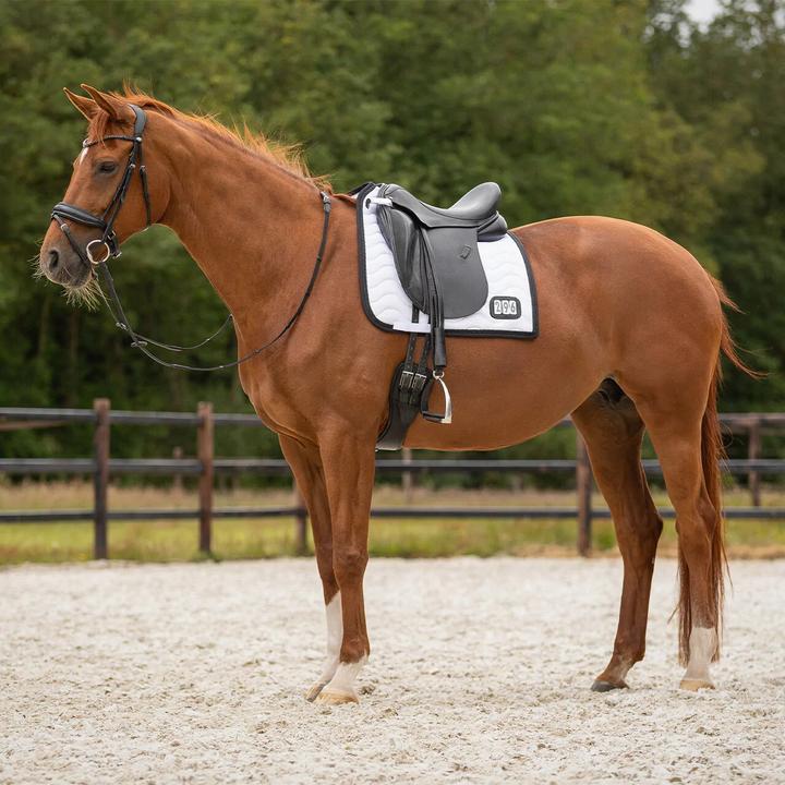 Produktbild Qhp Satteldecke für Pferde