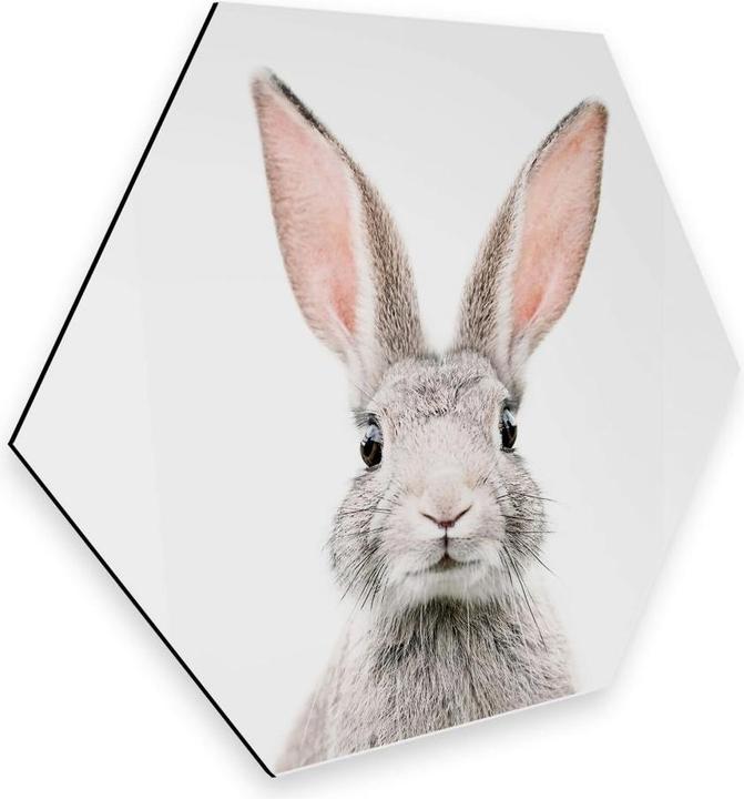 Image du produit Trenddeko Oreilles de lapin (35 x 30 cm)
