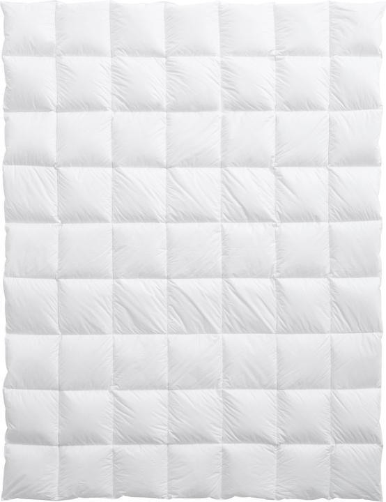 Immagine prodotto Feelings by billerbeck Lara (950 g, 240 x 240 cm)