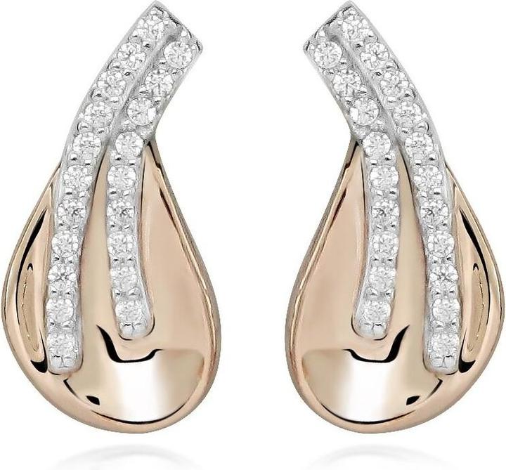 Immagine prodotto Silver Cat - Stylish silver earrings with zircons Bicolor SC607 (Argento)