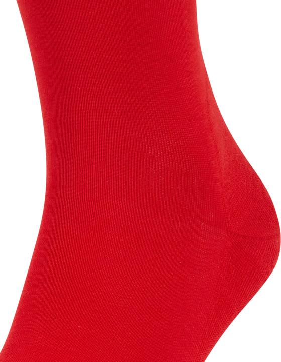 Produktbild Falke Run SO (Einzelpack, 35 - 36)